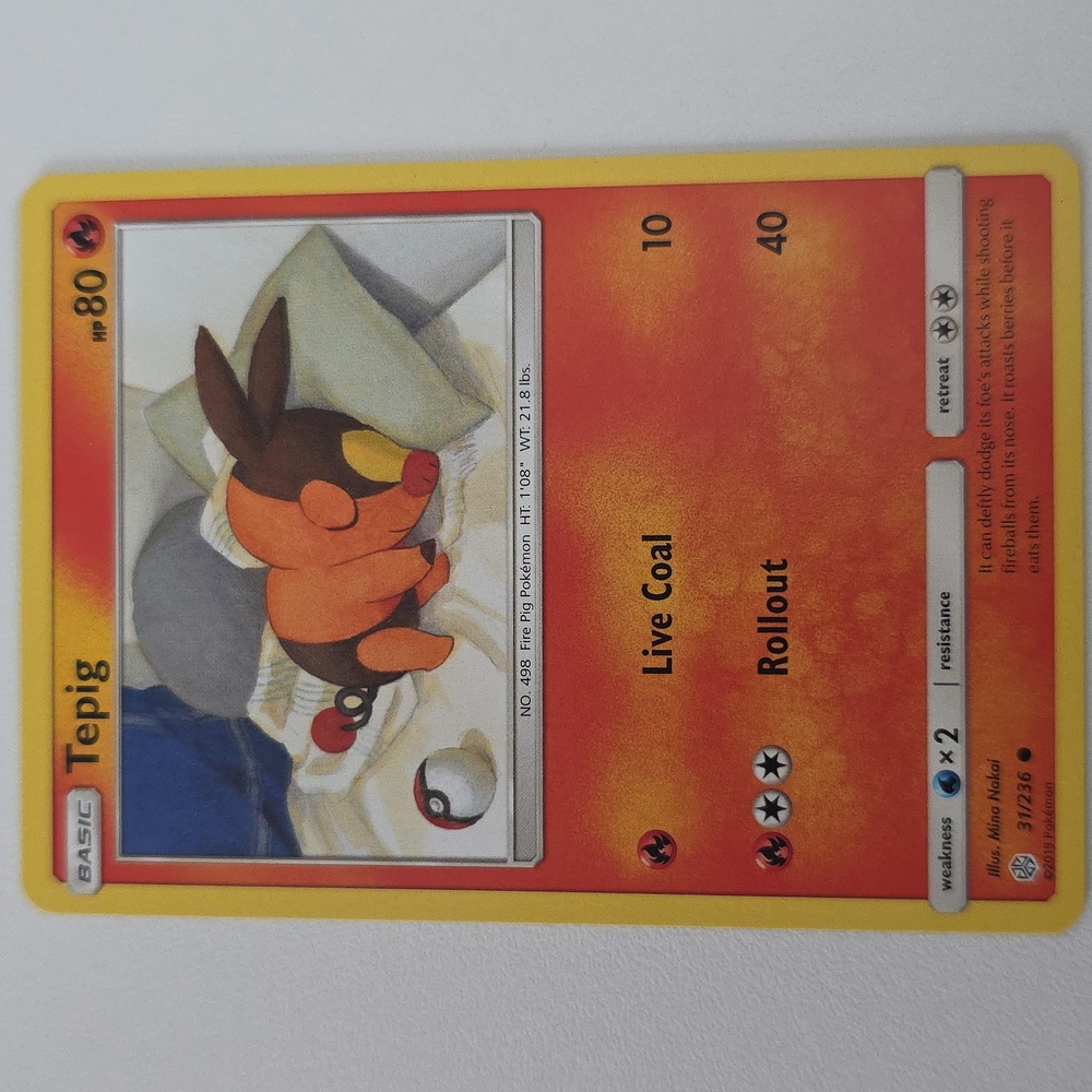 Pokemon Tepig Trading Card